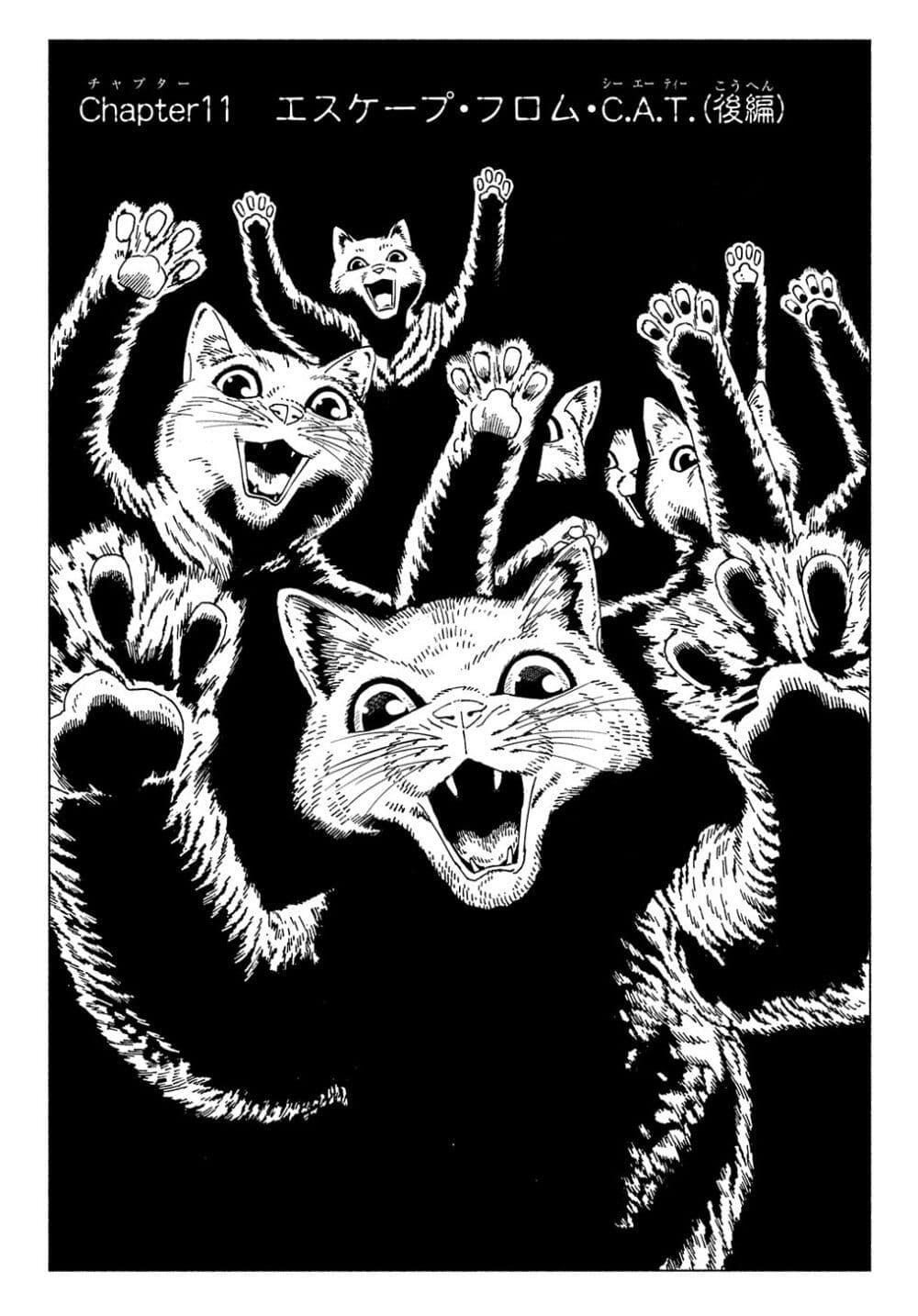 Manga-lc-com อ่านมังงะ อ่านการ์ตูน ออนไลน์ ฟรี Nyaight of the Living Cat ตอนที่ 1 2 3 4 5 6 7 8 9 10 11 12 13 14 ฟรี ไม่มีโฆษณา Manga-lc - อ่าน มังงะ อ่าน การ์ตูน ออนไลน์ อ่านมังงะ ฟรี