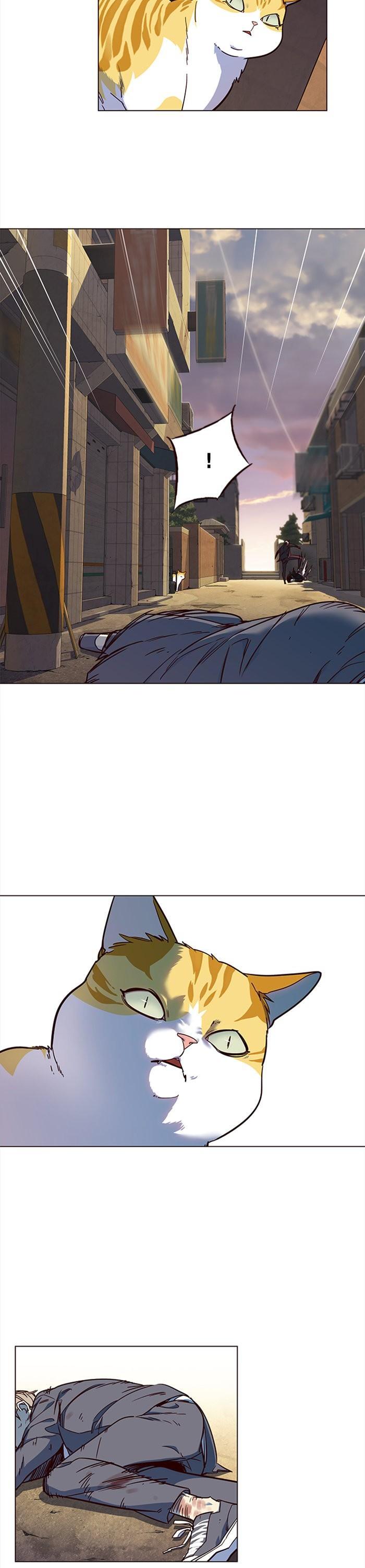 Manga-lc-com อ่านมังงะ อ่านการ์ตูน ออนไลน์ ฟรี Eleceed ตอนที่ 1 2 3 4 5 6 7 8 9 10 11 12 13 14 ฟรี ไม่มีโฆษณา Manga-lc - อ่าน มังงะ อ่าน การ์ตูน ออนไลน์ อ่านมังงะ ฟรี