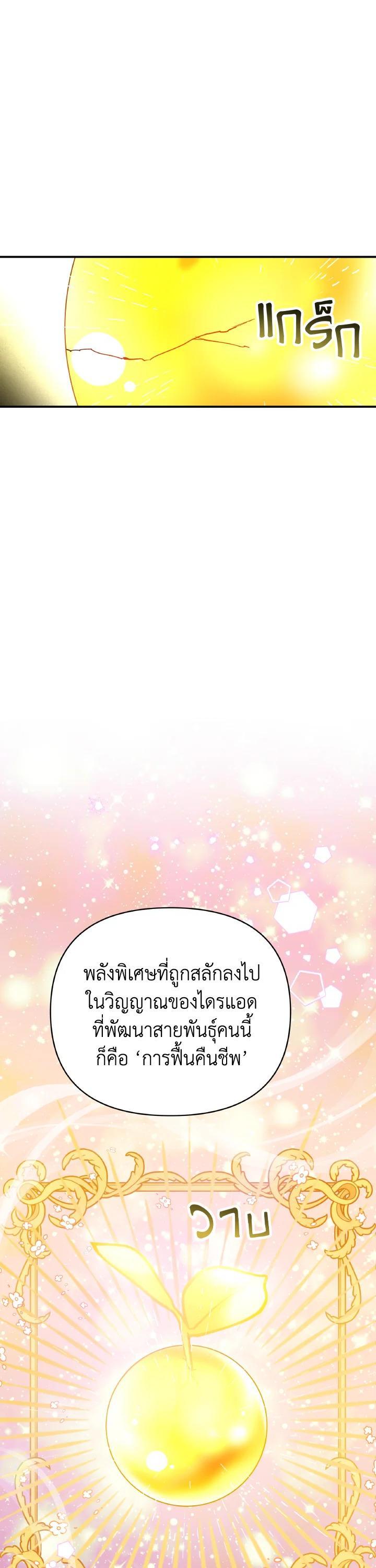 Manga-lc-com อ่านมังงะ อ่านการ์ตูน ออนไลน์ ฟรี Terrarium Adventure ตอนที่ 1 2 3 4 5 6 7 8 9 10 11 12 13 14 ฟรี ไม่มีโฆษณา Manga-lc - อ่าน มังงะ อ่าน การ์ตูน ออนไลน์ อ่านมังงะ ฟรี