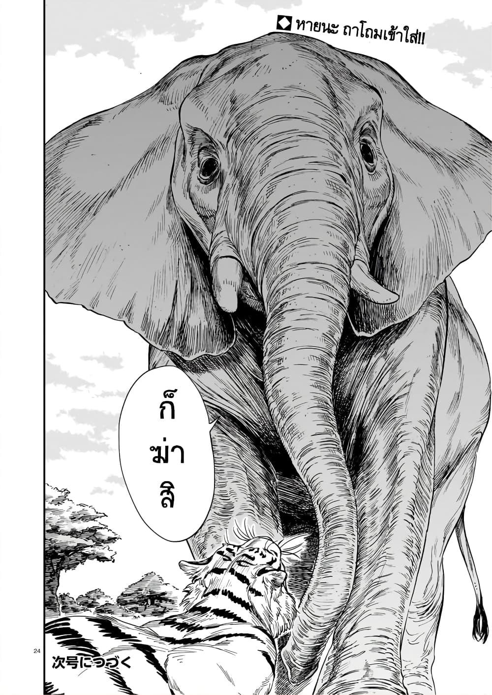 Manga-lc-com อ่านมังงะ อ่านการ์ตูน ออนไลน์ ฟรี Tora ha Ryuu wo mada Tabenai ตอนที่ 1 2 3 4 5 6 7 8 9 10 11 12 13 14 ฟรี ไม่มีโฆษณา Manga-lc - อ่าน มังงะ อ่าน การ์ตูน ออนไลน์ อ่านมังงะ ฟรี