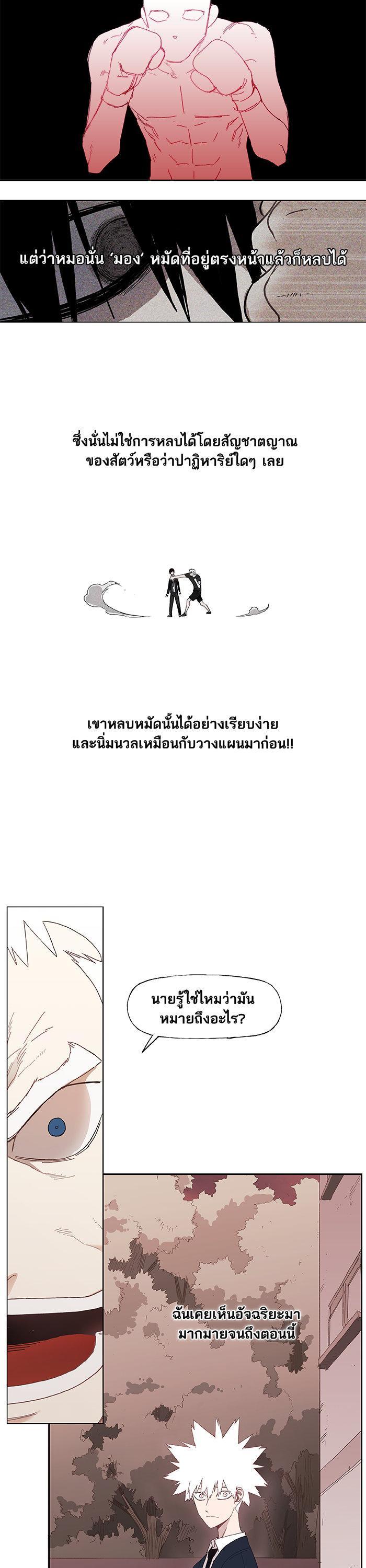 Manga-lc-com อ่านมังงะ อ่านการ์ตูน ออนไลน์ ฟรี The Boxer ตอนที่ 1 2 3 4 5 6 7 8 9 10 11 12 13 14 ฟรี ไม่มีโฆษณา Manga-lc - อ่าน มังงะ อ่าน การ์ตูน ออนไลน์ อ่านมังงะ ฟรี