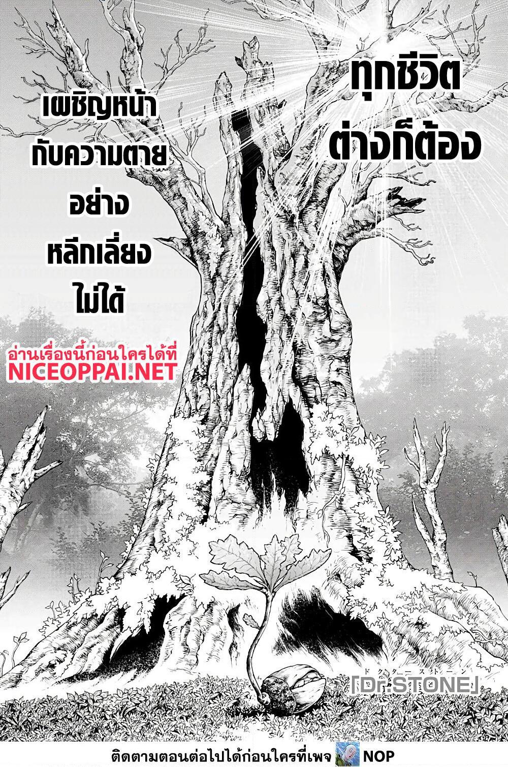 Manga-lc-com อ่านมังงะ อ่านการ์ตูน ออนไลน์ ฟรี Dr.Stone ตอนที่ 1 2 3 4 5 6 7 8 9 10 11 12 13 14 ฟรี ไม่มีโฆษณา Manga-lc - อ่าน มังงะ อ่าน การ์ตูน ออนไลน์ อ่านมังงะ ฟรี
