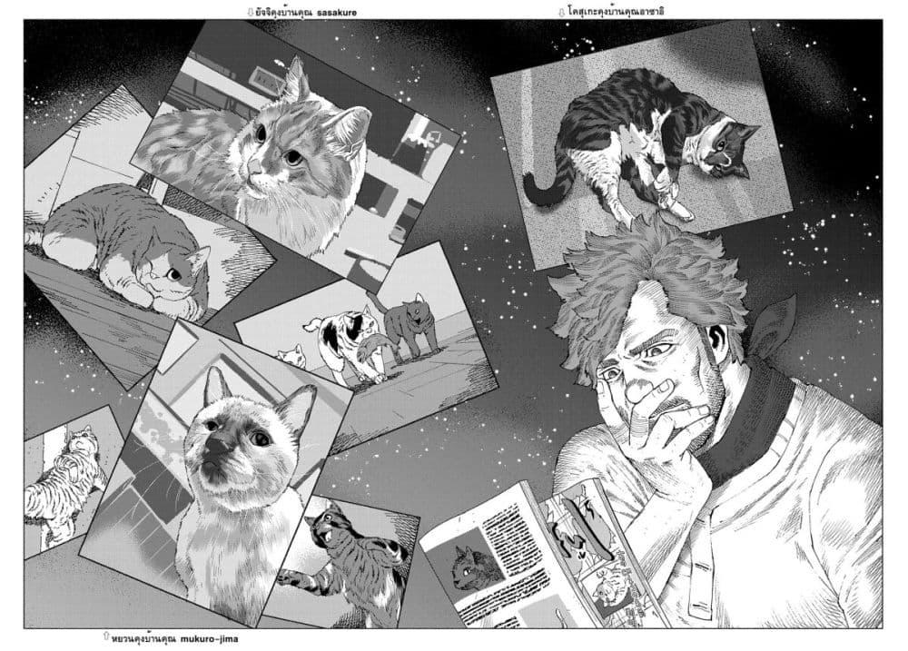 Manga-lc-com อ่านมังงะ อ่านการ์ตูน ออนไลน์ ฟรี Nyaight of the Living Cat ตอนที่ 1 2 3 4 5 6 7 8 9 10 11 12 13 14 ฟรี ไม่มีโฆษณา Manga-lc - อ่าน มังงะ อ่าน การ์ตูน ออนไลน์ อ่านมังงะ ฟรี