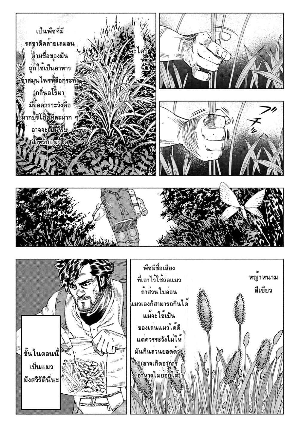 Manga-lc-com อ่านมังงะ อ่านการ์ตูน ออนไลน์ ฟรี Nyaight of the Living Cat ตอนที่ 1 2 3 4 5 6 7 8 9 10 11 12 13 14 ฟรี ไม่มีโฆษณา Manga-lc - อ่าน มังงะ อ่าน การ์ตูน ออนไลน์ อ่านมังงะ ฟรี