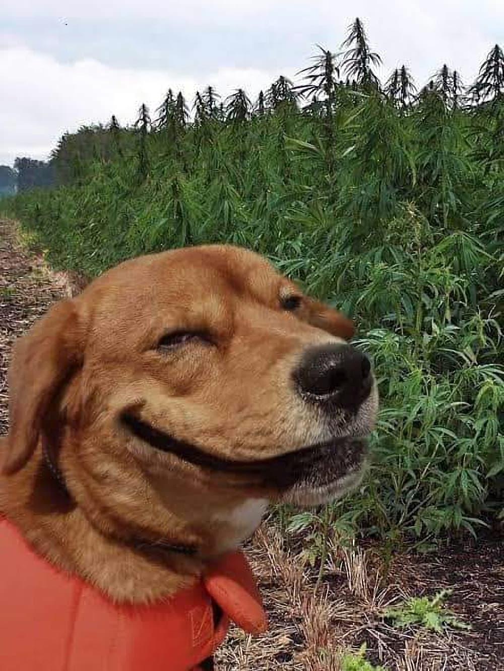 Manga-lc-com อ่านมังงะ อ่านการ์ตูน ออนไลน์ ฟรี Strongest Leveling ตอนที่ 1 2 3 4 5 6 7 8 9 10 11 12 13 14 ฟรี ไม่มีโฆษณา Manga-lc - อ่าน มังงะ อ่าน การ์ตูน ออนไลน์ อ่านมังงะ ฟรี