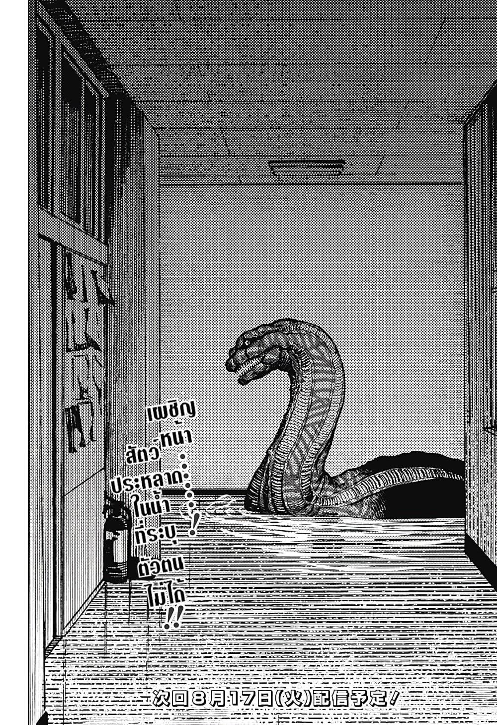 Manga-lc-com อ่านมังงะ อ่านการ์ตูน ออนไลน์ ฟรี Dandadan ตอนที่ 1 2 3 4 5 6 7 8 9 10 11 12 13 14 ฟรี ไม่มีโฆษณา Manga-lc - อ่าน มังงะ อ่าน การ์ตูน ออนไลน์ อ่านมังงะ ฟรี