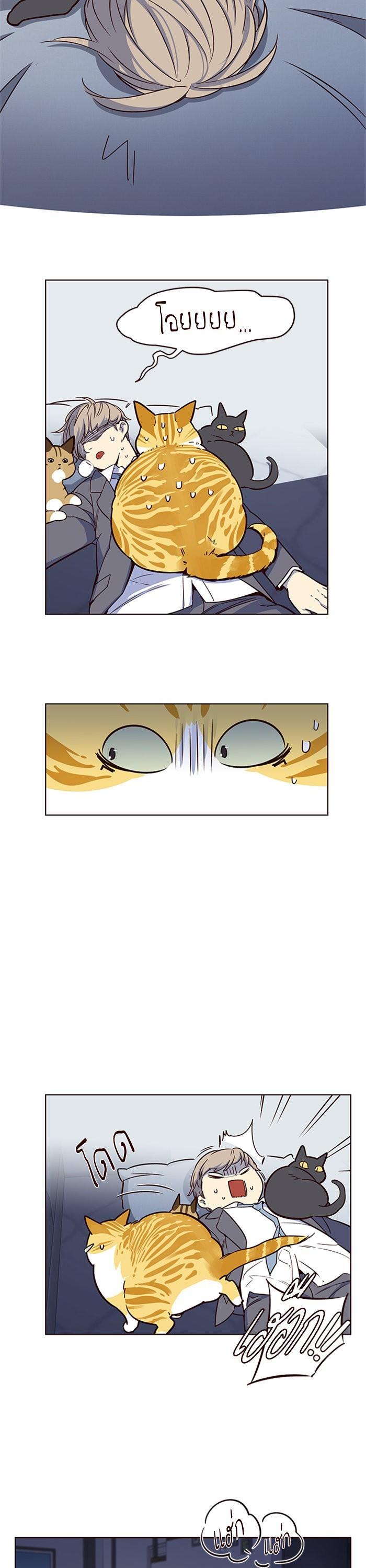 Manga-lc-com อ่านมังงะ อ่านการ์ตูน ออนไลน์ ฟรี Eleceed ตอนที่ 1 2 3 4 5 6 7 8 9 10 11 12 13 14 ฟรี ไม่มีโฆษณา Manga-lc - อ่าน มังงะ อ่าน การ์ตูน ออนไลน์ อ่านมังงะ ฟรี