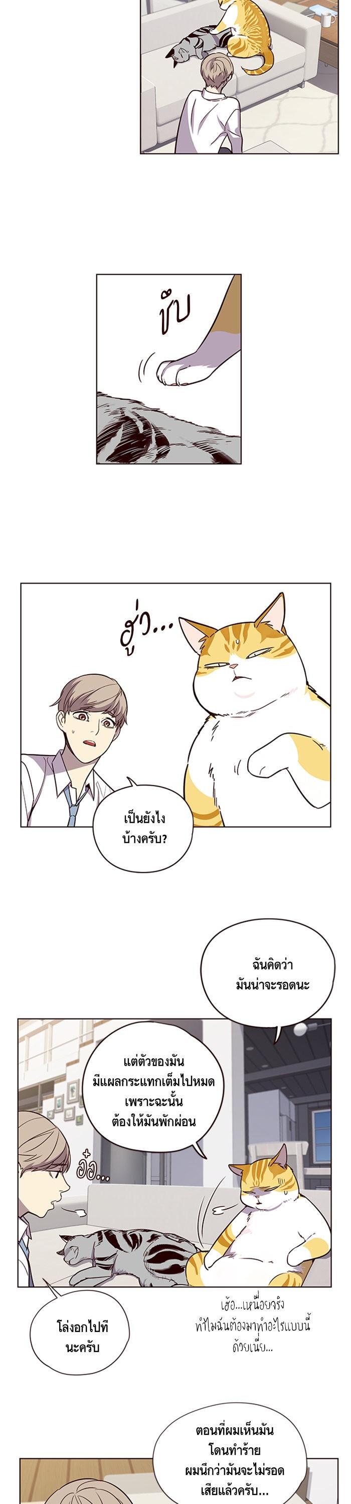 Manga-lc-com อ่านมังงะ อ่านการ์ตูน ออนไลน์ ฟรี Eleceed ตอนที่ 1 2 3 4 5 6 7 8 9 10 11 12 13 14 ฟรี ไม่มีโฆษณา Manga-lc - อ่าน มังงะ อ่าน การ์ตูน ออนไลน์ อ่านมังงะ ฟรี