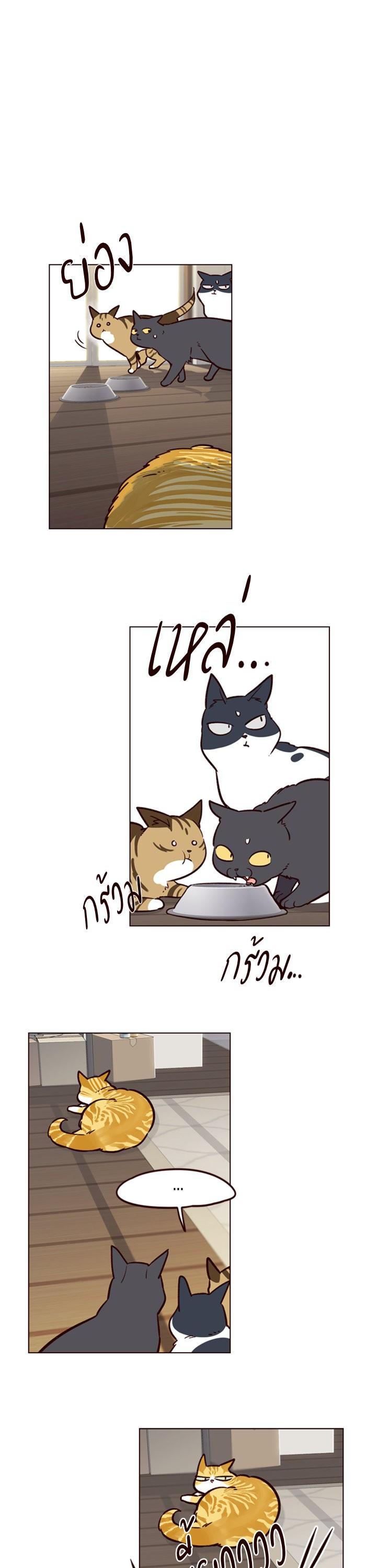 Manga-lc-com อ่านมังงะ อ่านการ์ตูน ออนไลน์ ฟรี Eleceed ตอนที่ 1 2 3 4 5 6 7 8 9 10 11 12 13 14 ฟรี ไม่มีโฆษณา Manga-lc - อ่าน มังงะ อ่าน การ์ตูน ออนไลน์ อ่านมังงะ ฟรี