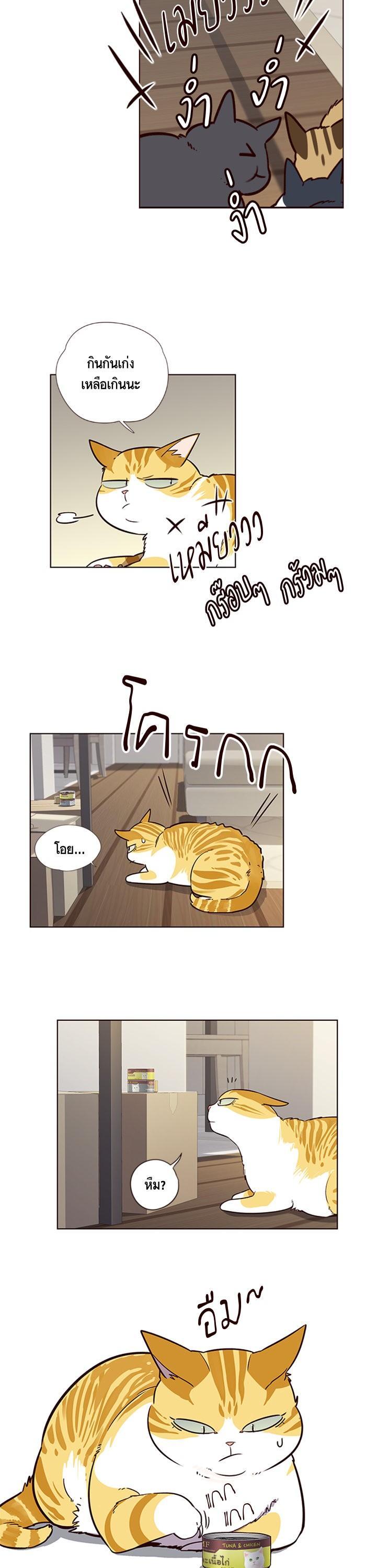 Manga-lc-com อ่านมังงะ อ่านการ์ตูน ออนไลน์ ฟรี Eleceed ตอนที่ 1 2 3 4 5 6 7 8 9 10 11 12 13 14 ฟรี ไม่มีโฆษณา Manga-lc - อ่าน มังงะ อ่าน การ์ตูน ออนไลน์ อ่านมังงะ ฟรี