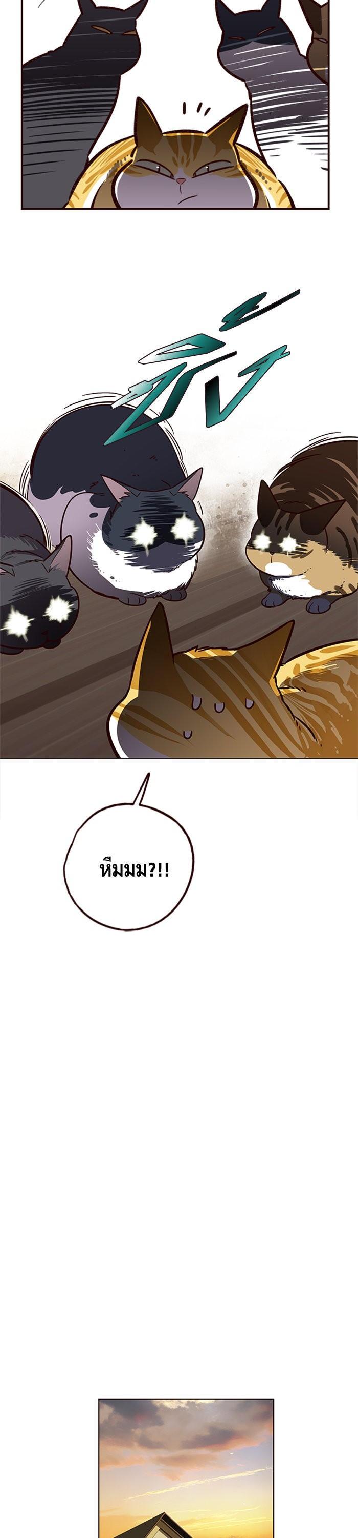 Manga-lc-com อ่านมังงะ อ่านการ์ตูน ออนไลน์ ฟรี Eleceed ตอนที่ 1 2 3 4 5 6 7 8 9 10 11 12 13 14 ฟรี ไม่มีโฆษณา Manga-lc - อ่าน มังงะ อ่าน การ์ตูน ออนไลน์ อ่านมังงะ ฟรี