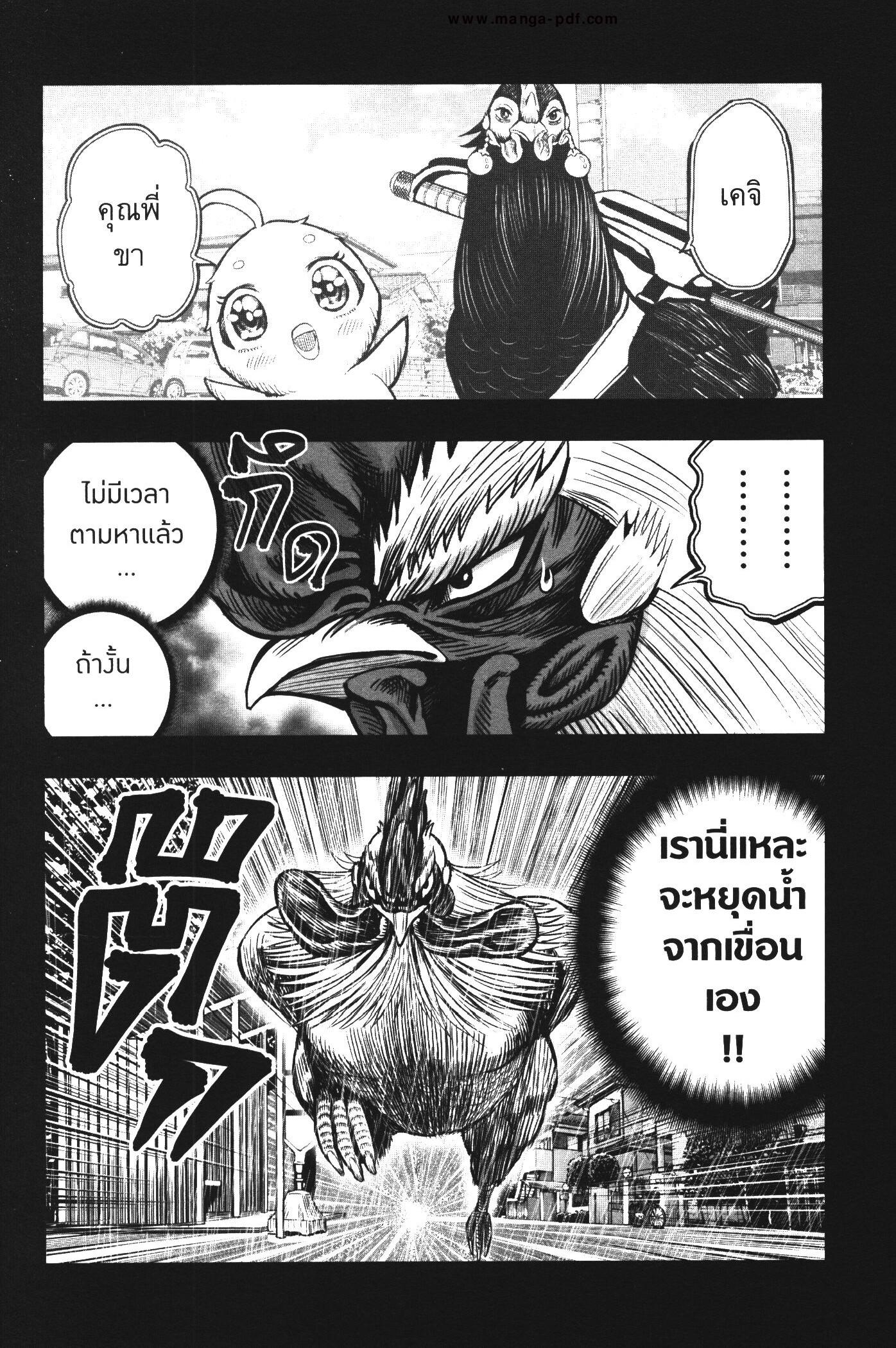 Manga-lc-com อ่านมังงะ อ่านการ์ตูน ออนไลน์ ฟรี Rooster Fighter ตอนที่ 1 2 3 4 5 6 7 8 9 10 11 12 13 14 ฟรี ไม่มีโฆษณา Manga-lc - อ่าน มังงะ อ่าน การ์ตูน ออนไลน์ อ่านมังงะ ฟรี