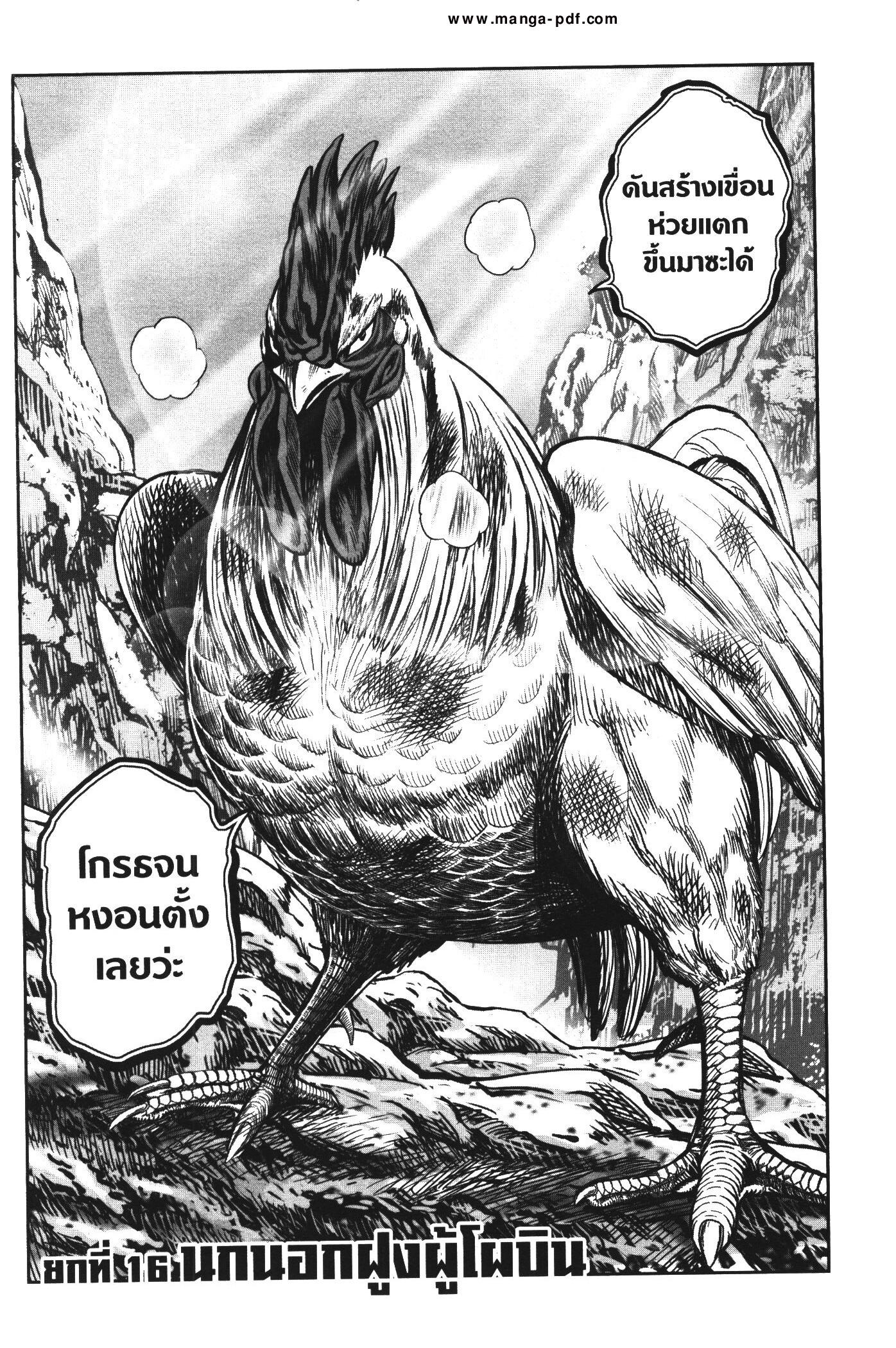 Manga-lc-com อ่านมังงะ อ่านการ์ตูน ออนไลน์ ฟรี Rooster Fighter ตอนที่ 1 2 3 4 5 6 7 8 9 10 11 12 13 14 ฟรี ไม่มีโฆษณา Manga-lc - อ่าน มังงะ อ่าน การ์ตูน ออนไลน์ อ่านมังงะ ฟรี
