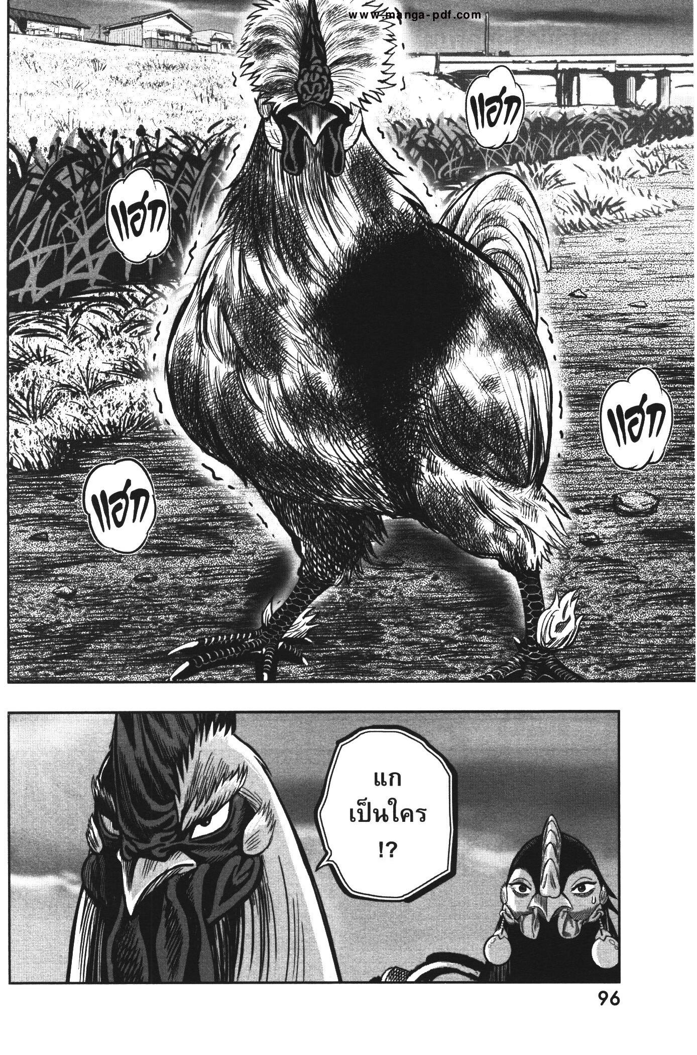 Manga-lc-com อ่านมังงะ อ่านการ์ตูน ออนไลน์ ฟรี Rooster Fighter ตอนที่ 1 2 3 4 5 6 7 8 9 10 11 12 13 14 ฟรี ไม่มีโฆษณา Manga-lc - อ่าน มังงะ อ่าน การ์ตูน ออนไลน์ อ่านมังงะ ฟรี