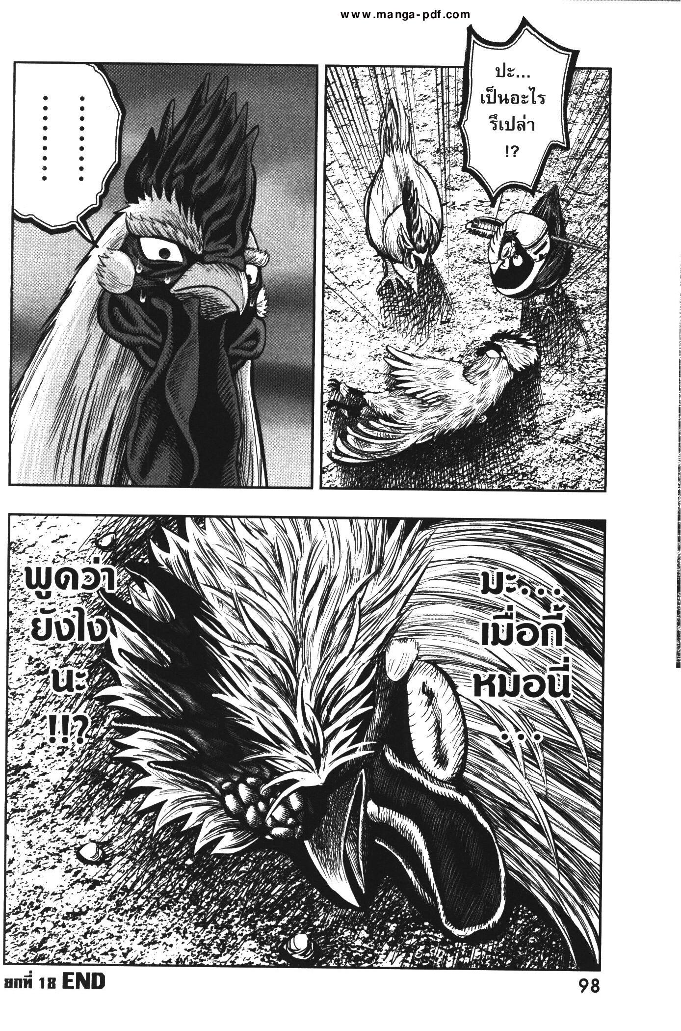 Manga-lc-com อ่านมังงะ อ่านการ์ตูน ออนไลน์ ฟรี Rooster Fighter ตอนที่ 1 2 3 4 5 6 7 8 9 10 11 12 13 14 ฟรี ไม่มีโฆษณา Manga-lc - อ่าน มังงะ อ่าน การ์ตูน ออนไลน์ อ่านมังงะ ฟรี