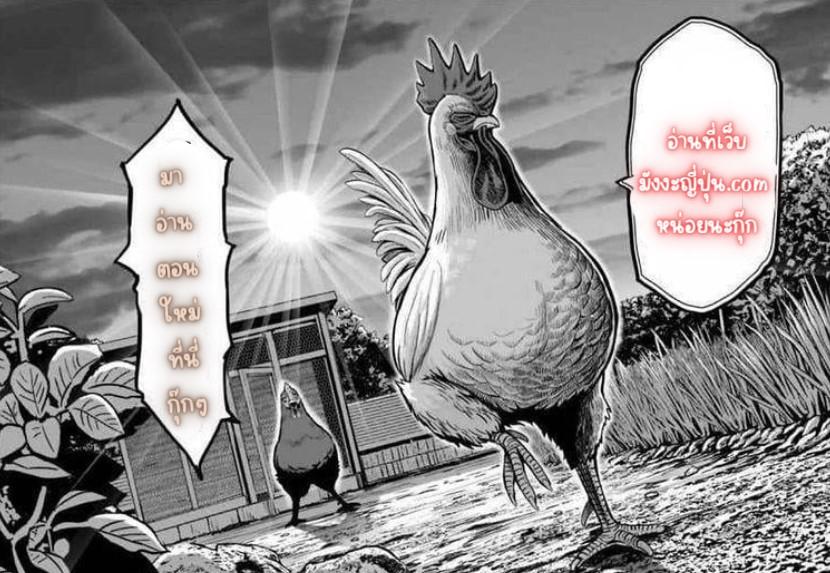 Manga-lc-com อ่านมังงะ อ่านการ์ตูน ออนไลน์ ฟรี Rooster Fighter ตอนที่ 1 2 3 4 5 6 7 8 9 10 11 12 13 14 ฟรี ไม่มีโฆษณา Manga-lc - อ่าน มังงะ อ่าน การ์ตูน ออนไลน์ อ่านมังงะ ฟรี