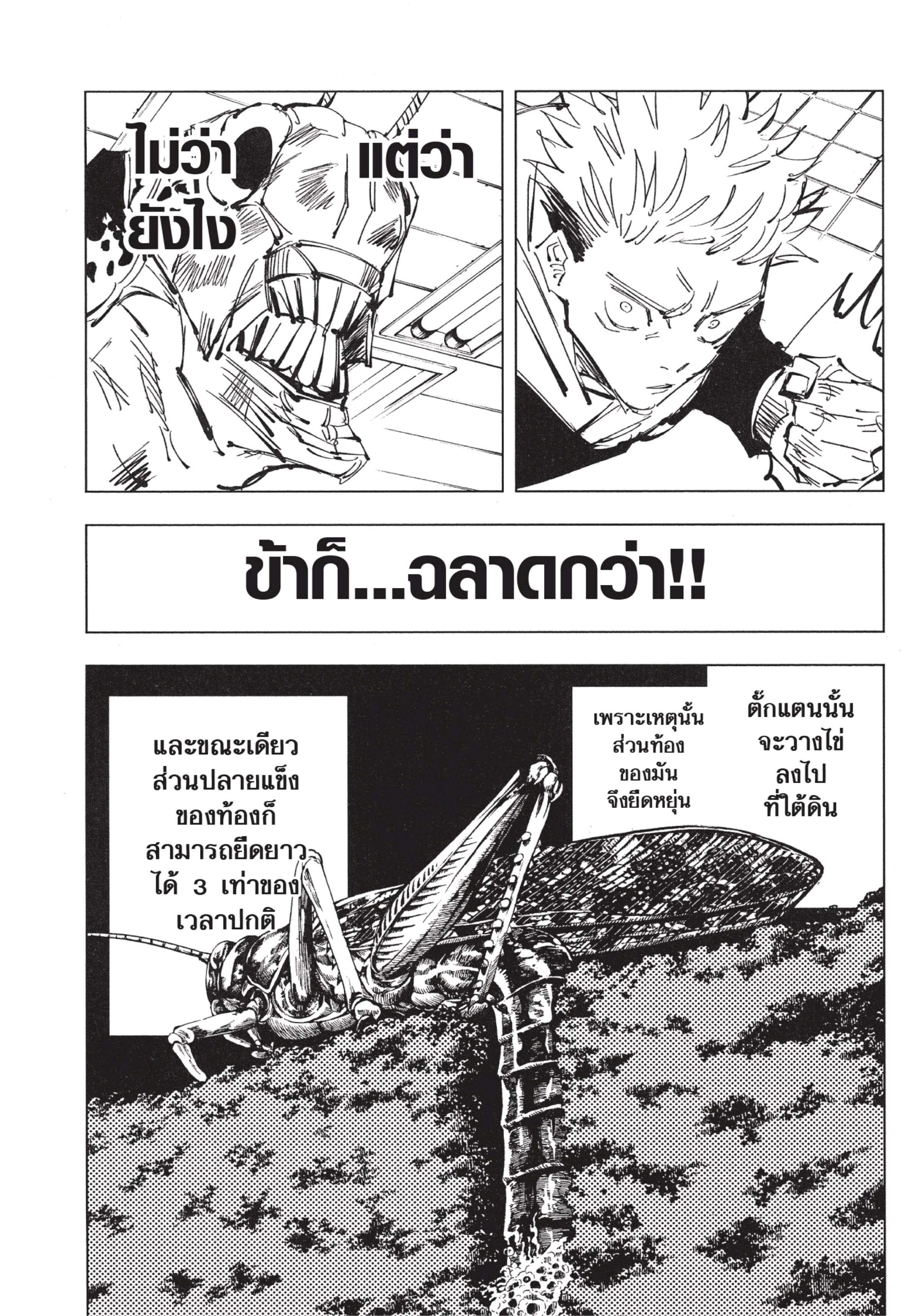Manga-lc-com อ่านมังงะ อ่านการ์ตูน ออนไลน์ ฟรี Jujutsu Kaisen มหาเวทย์ผนึกมาร ตอนที่ 1 2 3 4 5 6 7 8 9 10 11 12 13 14 ฟรี ไม่มีโฆษณา Manga-lc - อ่าน มังงะ อ่าน การ์ตูน ออนไลน์ อ่านมังงะ ฟรี