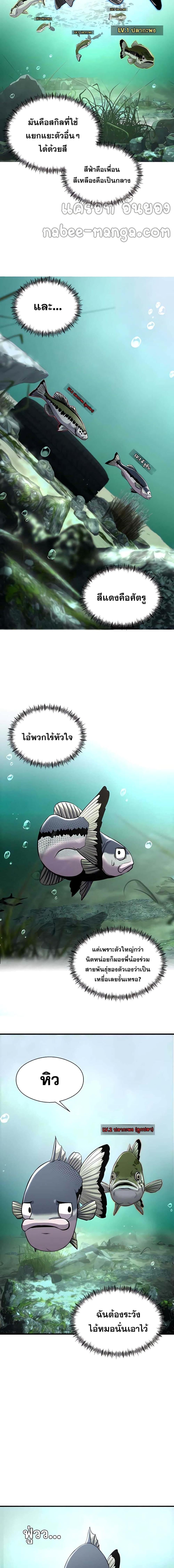 Manga-lc-com อ่านมังงะ อ่านการ์ตูน ออนไลน์ ฟรี Surviving As a Fish ตอนที่ 1 2 3 4 5 6 7 8 9 10 11 12 13 14 ฟรี ไม่มีโฆษณา Manga-lc - อ่าน มังงะ อ่าน การ์ตูน ออนไลน์ อ่านมังงะ ฟรี