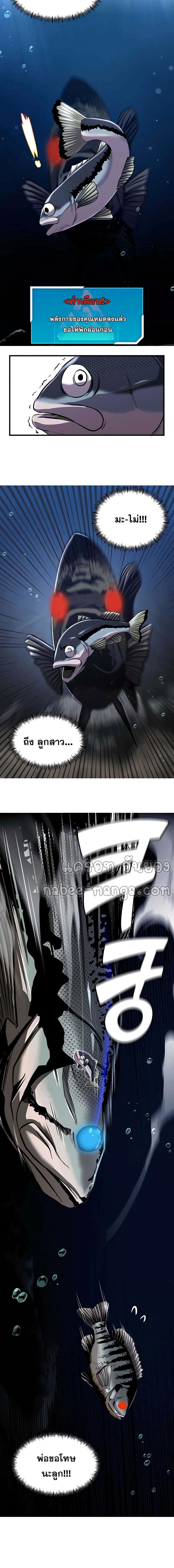 Manga-lc-com อ่านมังงะ อ่านการ์ตูน ออนไลน์ ฟรี Surviving As a Fish ตอนที่ 1 2 3 4 5 6 7 8 9 10 11 12 13 14 ฟรี ไม่มีโฆษณา Manga-lc - อ่าน มังงะ อ่าน การ์ตูน ออนไลน์ อ่านมังงะ ฟรี