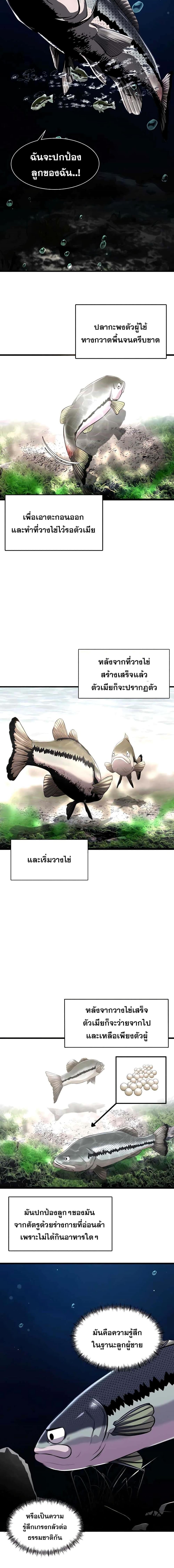 Manga-lc-com อ่านมังงะ อ่านการ์ตูน ออนไลน์ ฟรี Surviving As a Fish ตอนที่ 1 2 3 4 5 6 7 8 9 10 11 12 13 14 ฟรี ไม่มีโฆษณา Manga-lc - อ่าน มังงะ อ่าน การ์ตูน ออนไลน์ อ่านมังงะ ฟรี