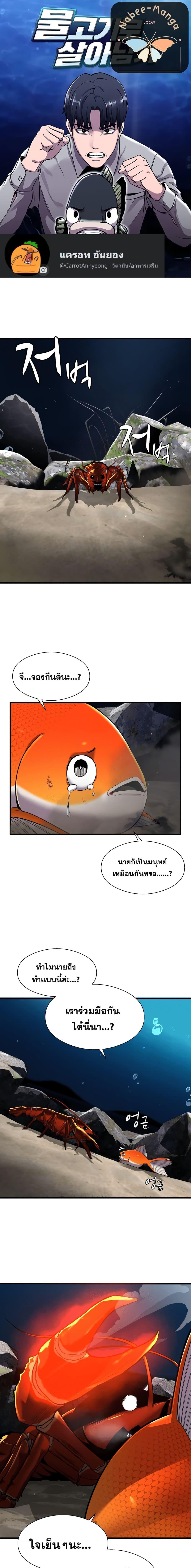 Manga-lc-com อ่านมังงะ อ่านการ์ตูน ออนไลน์ ฟรี Surviving As a Fish ตอนที่ 1 2 3 4 5 6 7 8 9 10 11 12 13 14 ฟรี ไม่มีโฆษณา Manga-lc - อ่าน มังงะ อ่าน การ์ตูน ออนไลน์ อ่านมังงะ ฟรี