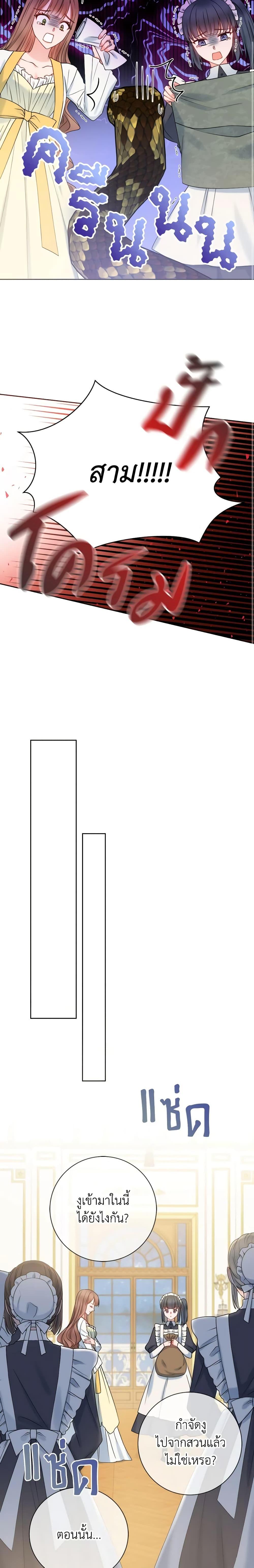 Manga-lc-com อ่านมังงะ อ่านการ์ตูน ออนไลน์ ฟรี Contractual Marriage to a Surly Duke ตอนที่ 1 2 3 4 5 6 7 8 9 10 11 12 13 14 ฟรี ไม่มีโฆษณา Manga-lc - อ่าน มังงะ อ่าน การ์ตูน ออนไลน์ อ่านมังงะ ฟรี