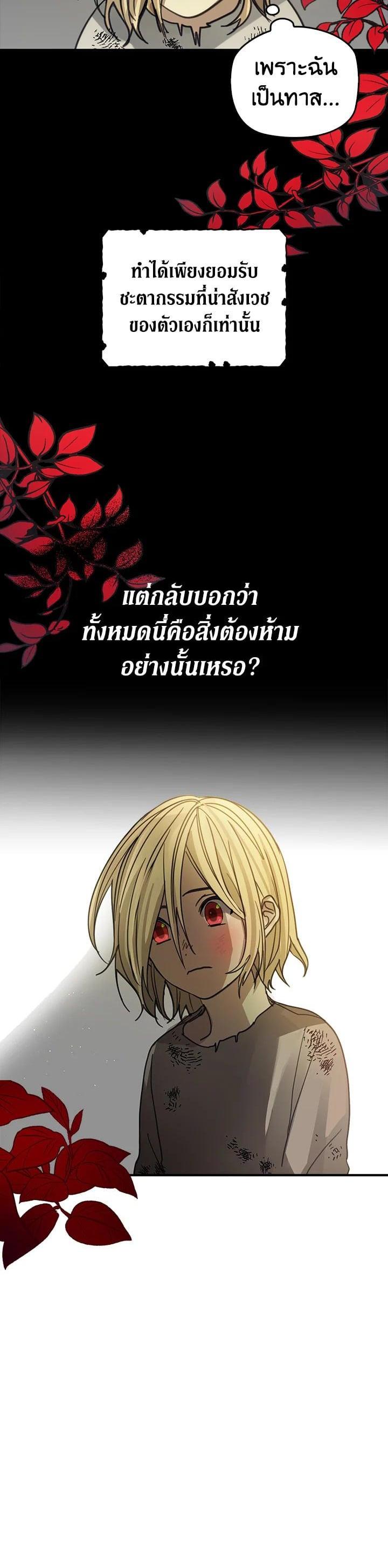 Manga-lc-com อ่านมังงะ อ่านการ์ตูน ออนไลน์ ฟรี My Three Tyrant Brothers ตอนที่ 1 2 3 4 5 6 7 8 9 10 11 12 13 14 ฟรี ไม่มีโฆษณา Manga-lc - อ่าน มังงะ อ่าน การ์ตูน ออนไลน์ อ่านมังงะ ฟรี