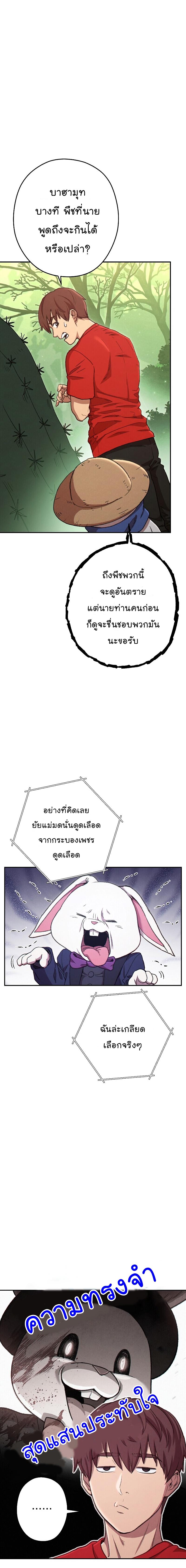 Manga-lc-com อ่านมังงะ อ่านการ์ตูน ออนไลน์ ฟรี Dungeon Reset ตอนที่ 1 2 3 4 5 6 7 8 9 10 11 12 13 14 ฟรี ไม่มีโฆษณา Manga-lc - อ่าน มังงะ อ่าน การ์ตูน ออนไลน์ อ่านมังงะ ฟรี