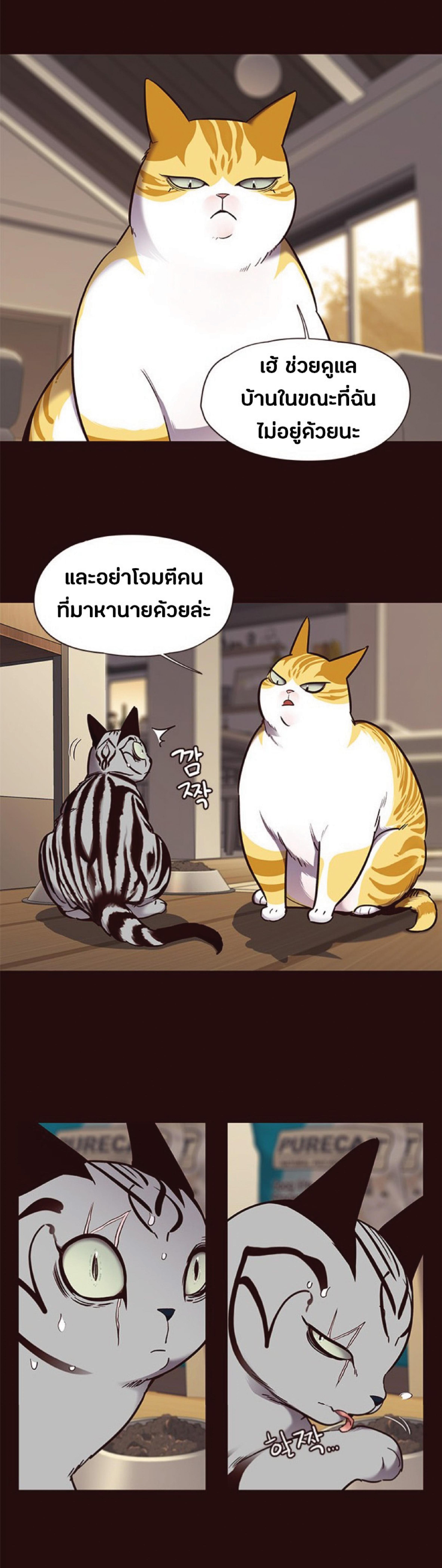 Manga-lc-com อ่านมังงะ อ่านการ์ตูน ออนไลน์ ฟรี Eleceed ตอนที่ 1 2 3 4 5 6 7 8 9 10 11 12 13 14 ฟรี ไม่มีโฆษณา Manga-lc - อ่าน มังงะ อ่าน การ์ตูน ออนไลน์ อ่านมังงะ ฟรี