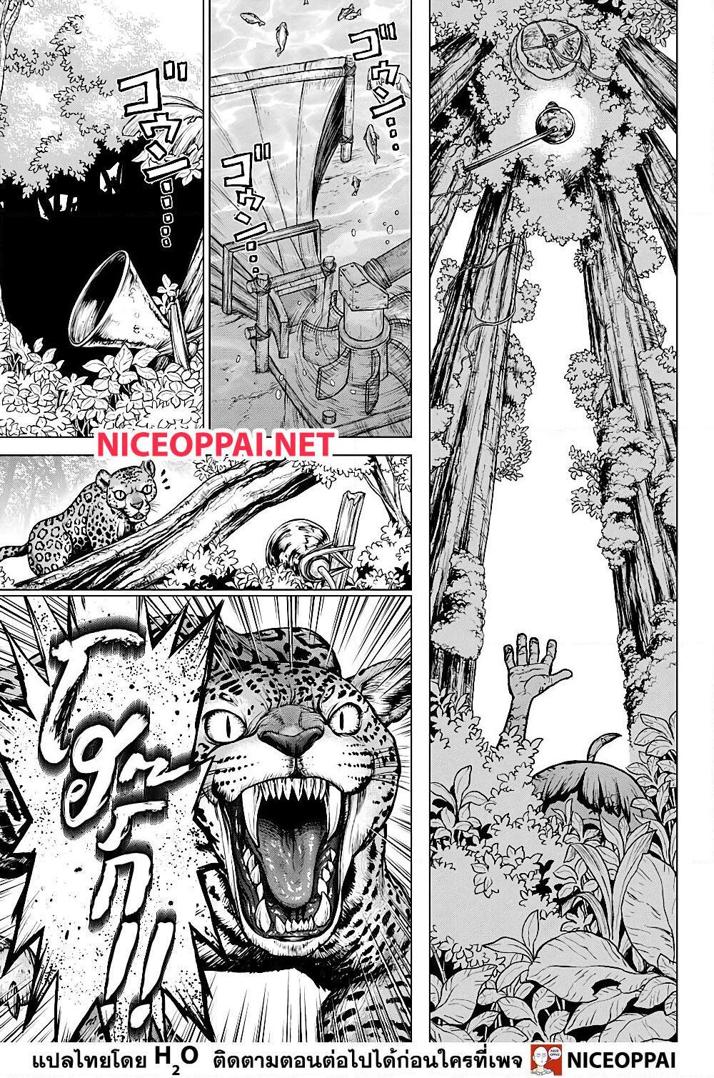 Manga-lc-com อ่านมังงะ อ่านการ์ตูน ออนไลน์ ฟรี Dr.Stone ตอนที่ 1 2 3 4 5 6 7 8 9 10 11 12 13 14 ฟรี ไม่มีโฆษณา Manga-lc - อ่าน มังงะ อ่าน การ์ตูน ออนไลน์ อ่านมังงะ ฟรี