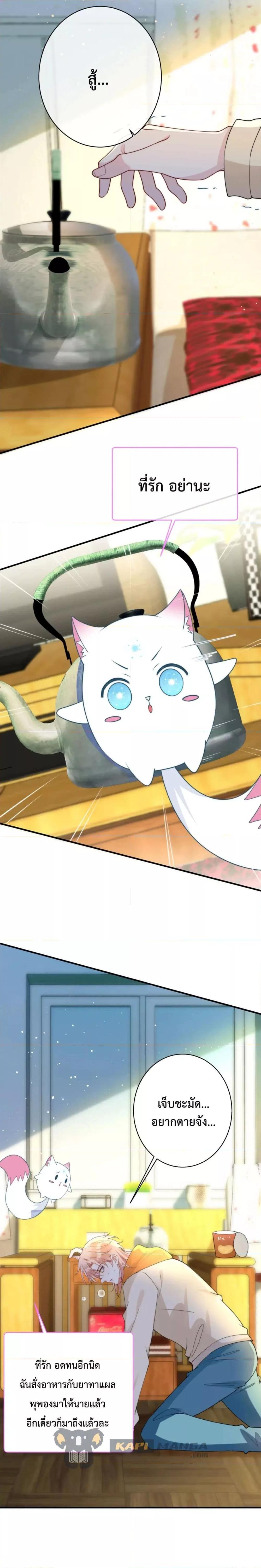 Manga-lc-com อ่านมังงะ อ่านการ์ตูน ออนไลน์ ฟรี Black Moonlight Whitewashing Plan ตอนที่ 1 2 3 4 5 6 7 8 9 10 11 12 13 14 ฟรี ไม่มีโฆษณา Manga-lc - อ่าน มังงะ อ่าน การ์ตูน ออนไลน์ อ่านมังงะ ฟรี