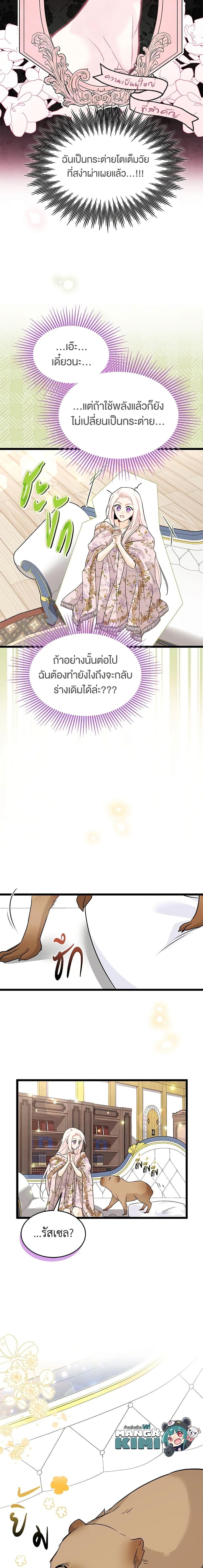 Manga-lc-com อ่านมังงะ อ่านการ์ตูน ออนไลน์ ฟรี The Symbiotic Relationship Between a Panther and a Rabbit ตอนที่ 1 2 3 4 5 6 7 8 9 10 11 12 13 14 ฟรี ไม่มีโฆษณา Manga-lc - อ่าน มังงะ อ่าน การ์ตูน ออนไลน์ อ่านมังงะ ฟรี