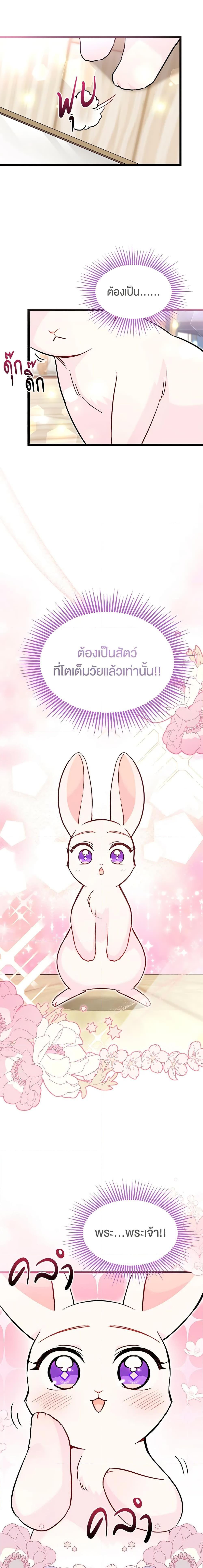 Manga-lc-com อ่านมังงะ อ่านการ์ตูน ออนไลน์ ฟรี The Symbiotic Relationship Between a Panther and a Rabbit ตอนที่ 1 2 3 4 5 6 7 8 9 10 11 12 13 14 ฟรี ไม่มีโฆษณา Manga-lc - อ่าน มังงะ อ่าน การ์ตูน ออนไลน์ อ่านมังงะ ฟรี