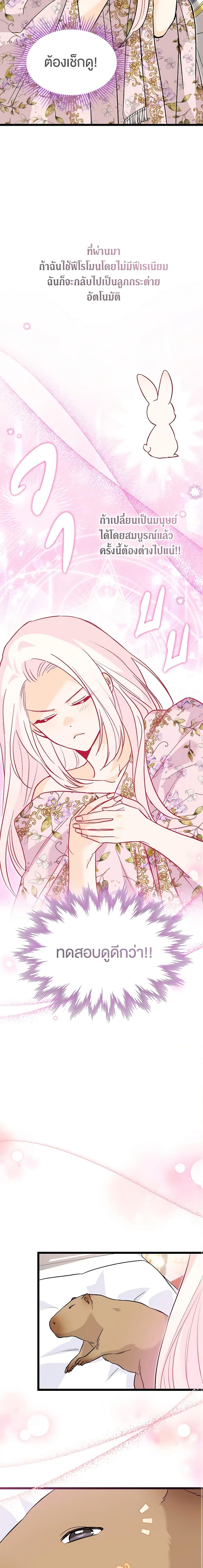 Manga-lc-com อ่านมังงะ อ่านการ์ตูน ออนไลน์ ฟรี The Symbiotic Relationship Between a Panther and a Rabbit ตอนที่ 1 2 3 4 5 6 7 8 9 10 11 12 13 14 ฟรี ไม่มีโฆษณา Manga-lc - อ่าน มังงะ อ่าน การ์ตูน ออนไลน์ อ่านมังงะ ฟรี