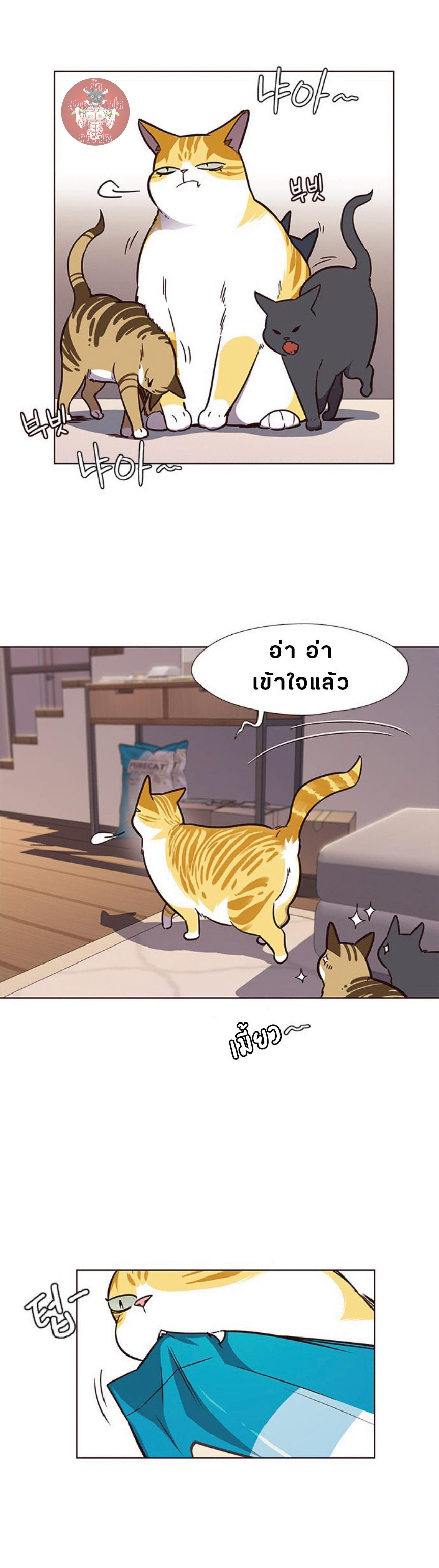 Manga-lc-com อ่านมังงะ อ่านการ์ตูน ออนไลน์ ฟรี Eleceed ตอนที่ 1 2 3 4 5 6 7 8 9 10 11 12 13 14 ฟรี ไม่มีโฆษณา Manga-lc - อ่าน มังงะ อ่าน การ์ตูน ออนไลน์ อ่านมังงะ ฟรี