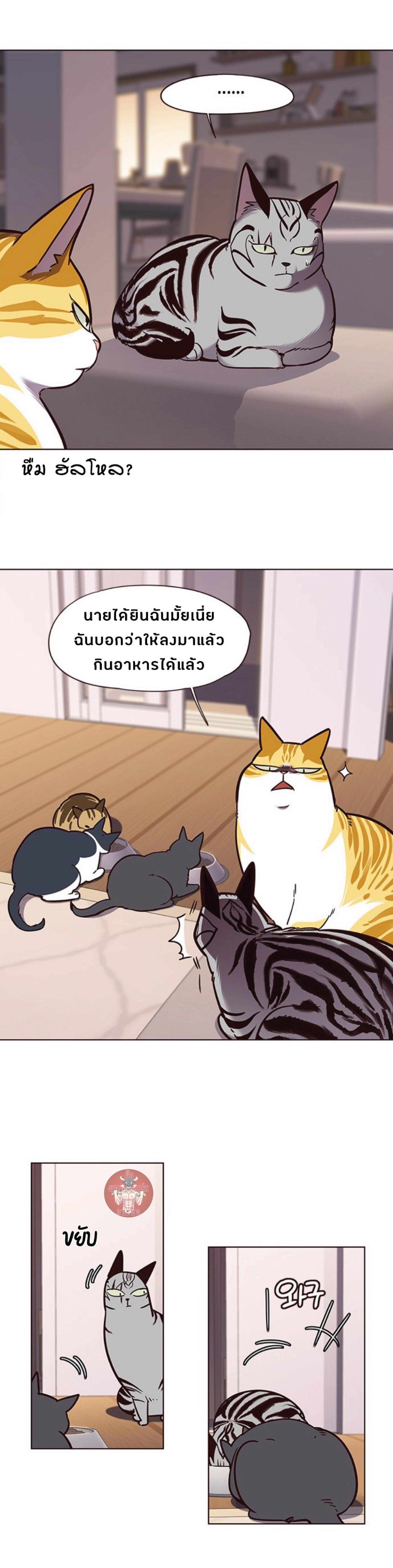 Manga-lc-com อ่านมังงะ อ่านการ์ตูน ออนไลน์ ฟรี Eleceed ตอนที่ 1 2 3 4 5 6 7 8 9 10 11 12 13 14 ฟรี ไม่มีโฆษณา Manga-lc - อ่าน มังงะ อ่าน การ์ตูน ออนไลน์ อ่านมังงะ ฟรี