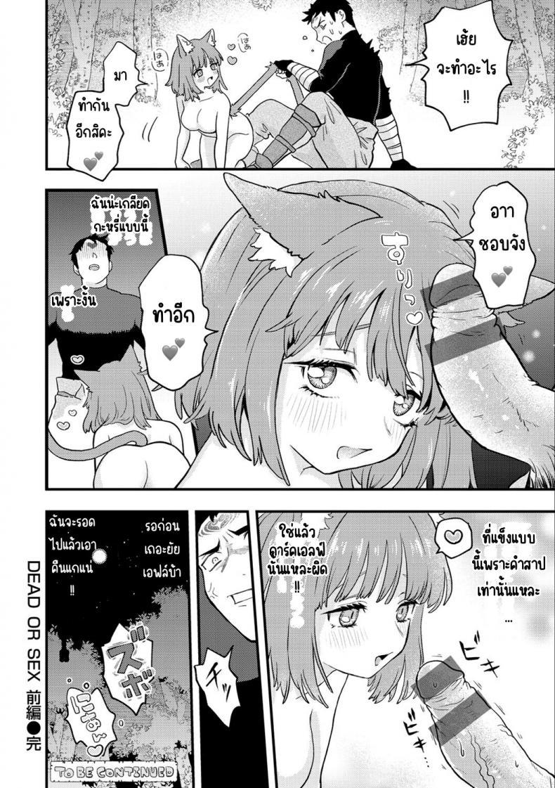 Doujin-Lc- อ่าน โดจิน มังฮวา เกาหลี ญี่ปุ่น จีน แปลไทย แตกในหรือตาย [Eroi-Roe] Ero Isekai - An Ero World ตอนที่ 1 2 3 4 5 6 7 8 9 10 11 12 13 14 ฟรี ไม่มีโฆษณา อ่าน โดจิน Manhwa เกาหลี ญี่ปุ่น จีน เรามีครบ คัดมาให้เน้นๆ โดจิน 18+ รับประกันความฟินโดย  Doujin Lc