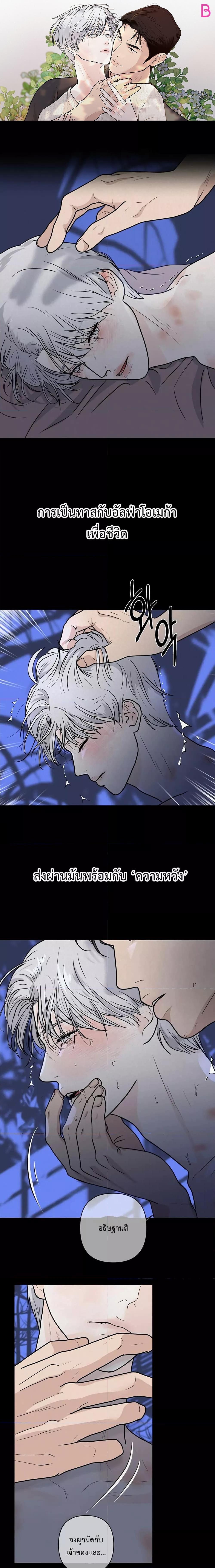Manga-lc-com อ่านมังงะ อ่านการ์ตูน ออนไลน์ ฟรี Wish You All The Best ตอนที่ 1 2 3 4 5 6 7 8 9 10 11 12 13 14 ฟรี ไม่มีโฆษณา Manga-lc - อ่าน มังงะ อ่าน การ์ตูน ออนไลน์ อ่านมังงะ ฟรี