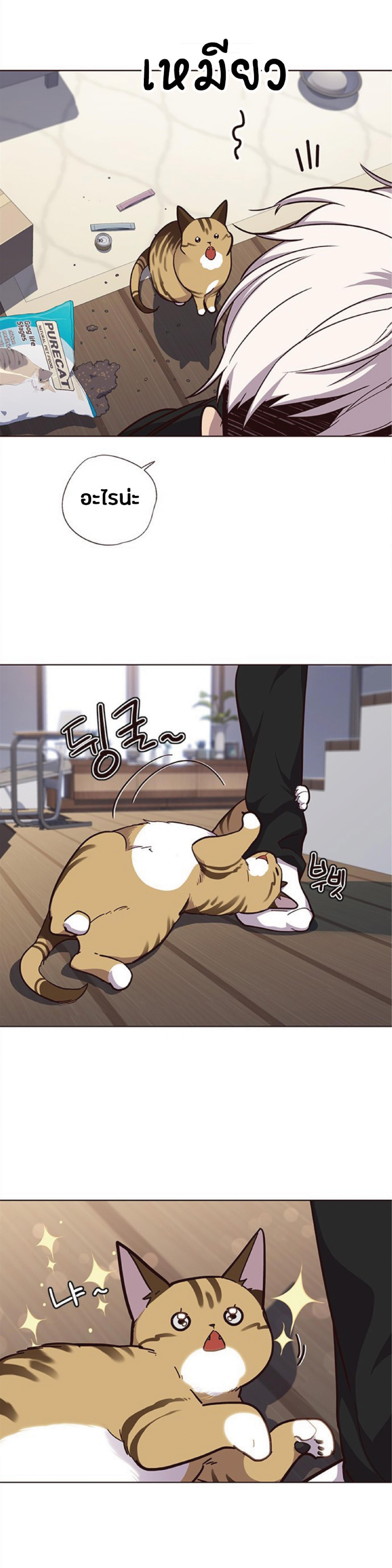 Manga-lc-com อ่านมังงะ อ่านการ์ตูน ออนไลน์ ฟรี Eleceed ตอนที่ 1 2 3 4 5 6 7 8 9 10 11 12 13 14 ฟรี ไม่มีโฆษณา Manga-lc - อ่าน มังงะ อ่าน การ์ตูน ออนไลน์ อ่านมังงะ ฟรี