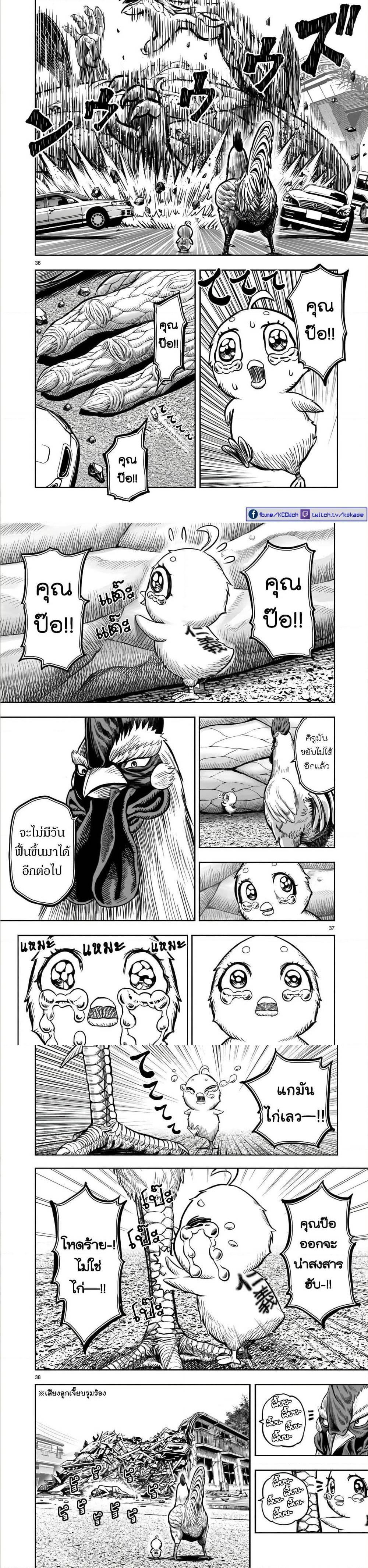 Manga-lc-com อ่านมังงะ อ่านการ์ตูน ออนไลน์ ฟรี Rooster Fighter ตอนที่ 1 2 3 4 5 6 7 8 9 10 11 12 13 14 ฟรี ไม่มีโฆษณา Manga-lc - อ่าน มังงะ อ่าน การ์ตูน ออนไลน์ อ่านมังงะ ฟรี