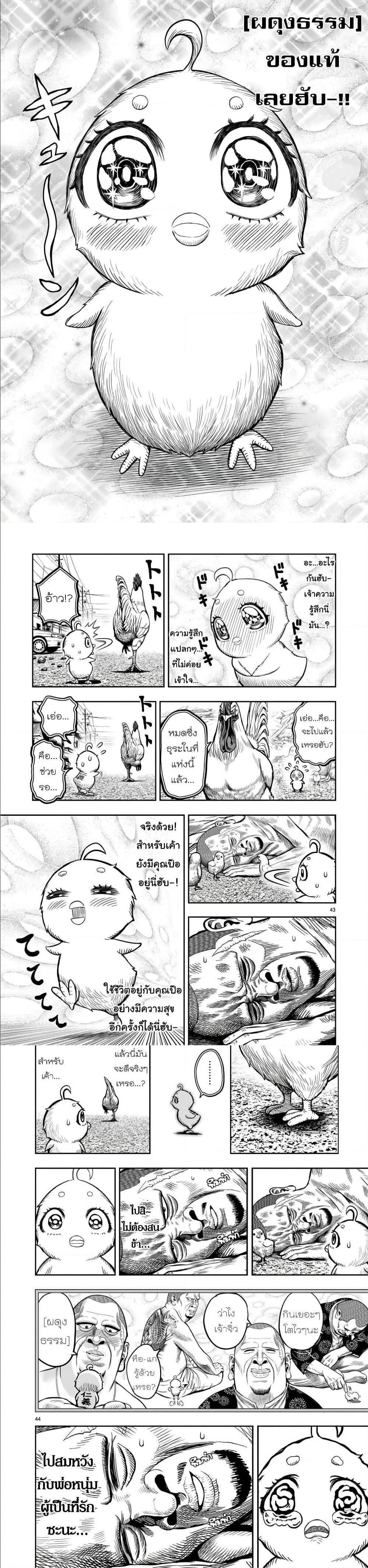 Manga-lc-com อ่านมังงะ อ่านการ์ตูน ออนไลน์ ฟรี Rooster Fighter ตอนที่ 1 2 3 4 5 6 7 8 9 10 11 12 13 14 ฟรี ไม่มีโฆษณา Manga-lc - อ่าน มังงะ อ่าน การ์ตูน ออนไลน์ อ่านมังงะ ฟรี