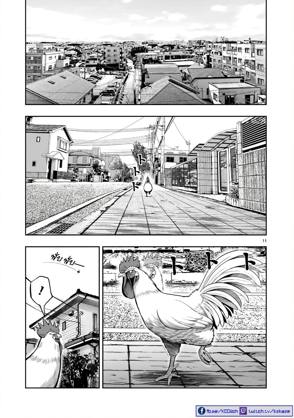 Manga-lc-com อ่านมังงะ อ่านการ์ตูน ออนไลน์ ฟรี Rooster Fighter ตอนที่ 1 2 3 4 5 6 7 8 9 10 11 12 13 14 ฟรี ไม่มีโฆษณา Manga-lc - อ่าน มังงะ อ่าน การ์ตูน ออนไลน์ อ่านมังงะ ฟรี