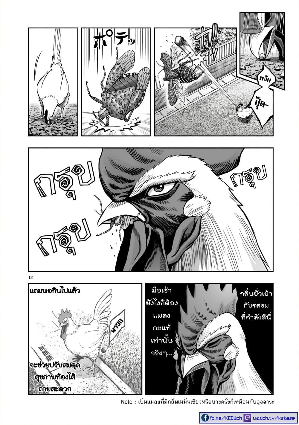 Manga-lc-com อ่านมังงะ อ่านการ์ตูน ออนไลน์ ฟรี Rooster Fighter ตอนที่ 1 2 3 4 5 6 7 8 9 10 11 12 13 14 ฟรี ไม่มีโฆษณา Manga-lc - อ่าน มังงะ อ่าน การ์ตูน ออนไลน์ อ่านมังงะ ฟรี