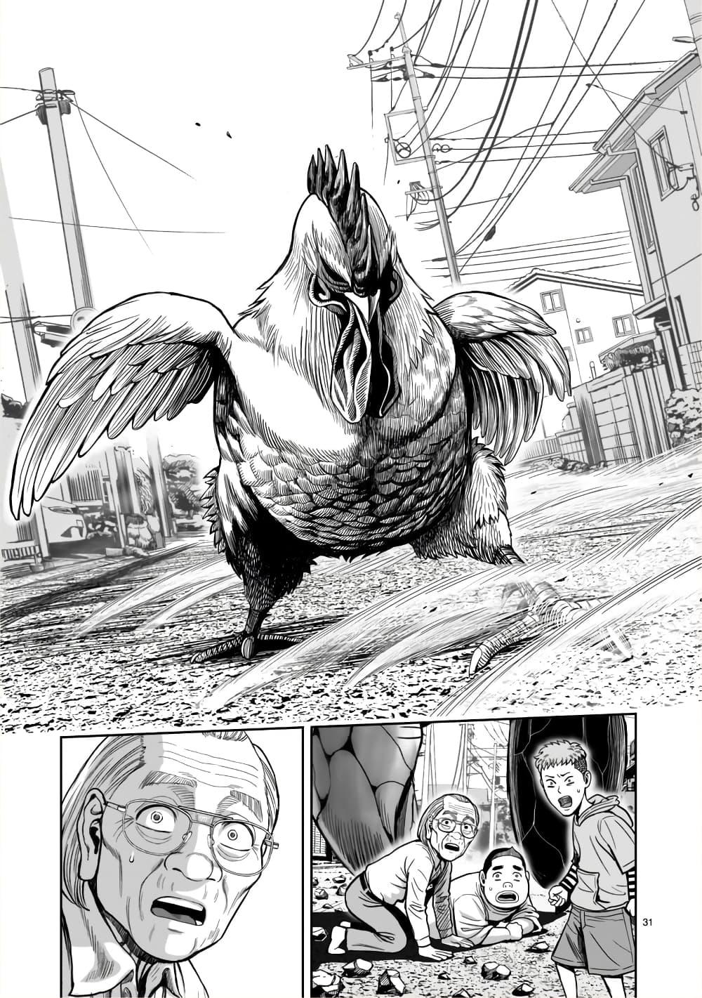 Manga-lc-com อ่านมังงะ อ่านการ์ตูน ออนไลน์ ฟรี Rooster Fighter ตอนที่ 1 2 3 4 5 6 7 8 9 10 11 12 13 14 ฟรี ไม่มีโฆษณา Manga-lc - อ่าน มังงะ อ่าน การ์ตูน ออนไลน์ อ่านมังงะ ฟรี