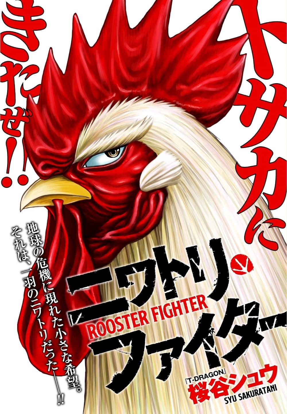 Manga-lc-com อ่านมังงะ อ่านการ์ตูน ออนไลน์ ฟรี Rooster Fighter ตอนที่ 1 2 3 4 5 6 7 8 9 10 11 12 13 14 ฟรี ไม่มีโฆษณา Manga-lc - อ่าน มังงะ อ่าน การ์ตูน ออนไลน์ อ่านมังงะ ฟรี