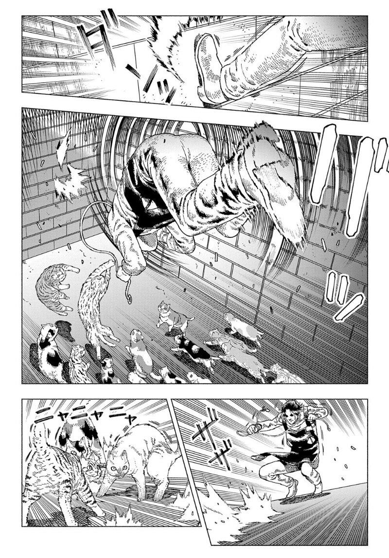 Manga-lc-com อ่านมังงะ อ่านการ์ตูน ออนไลน์ ฟรี Nyaight of the Living Cat ตอนที่ 1 2 3 4 5 6 7 8 9 10 11 12 13 14 ฟรี ไม่มีโฆษณา Manga-lc - อ่าน มังงะ อ่าน การ์ตูน ออนไลน์ อ่านมังงะ ฟรี
