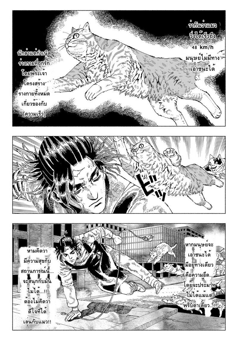 Manga-lc-com อ่านมังงะ อ่านการ์ตูน ออนไลน์ ฟรี Nyaight of the Living Cat ตอนที่ 1 2 3 4 5 6 7 8 9 10 11 12 13 14 ฟรี ไม่มีโฆษณา Manga-lc - อ่าน มังงะ อ่าน การ์ตูน ออนไลน์ อ่านมังงะ ฟรี