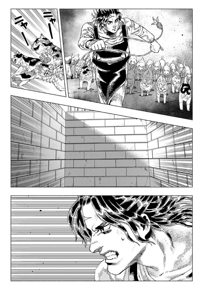 Manga-lc-com อ่านมังงะ อ่านการ์ตูน ออนไลน์ ฟรี Nyaight of the Living Cat ตอนที่ 1 2 3 4 5 6 7 8 9 10 11 12 13 14 ฟรี ไม่มีโฆษณา Manga-lc - อ่าน มังงะ อ่าน การ์ตูน ออนไลน์ อ่านมังงะ ฟรี