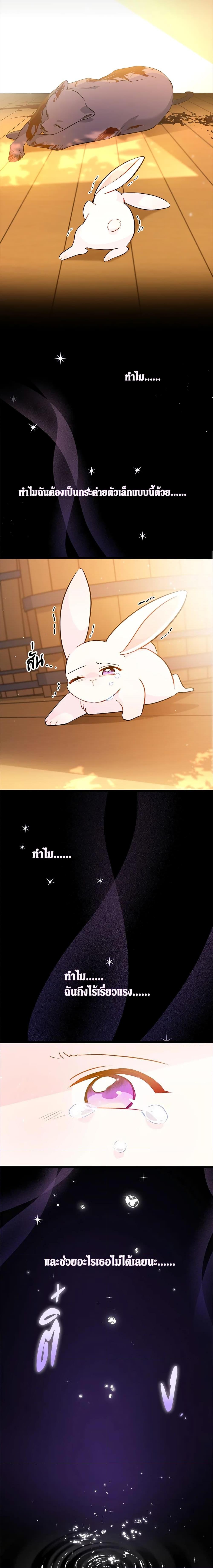 Manga-lc-com อ่านมังงะ อ่านการ์ตูน ออนไลน์ ฟรี The Symbiotic Relationship Between a Panther and a Rabbit ตอนที่ 1 2 3 4 5 6 7 8 9 10 11 12 13 14 ฟรี ไม่มีโฆษณา Manga-lc - อ่าน มังงะ อ่าน การ์ตูน ออนไลน์ อ่านมังงะ ฟรี