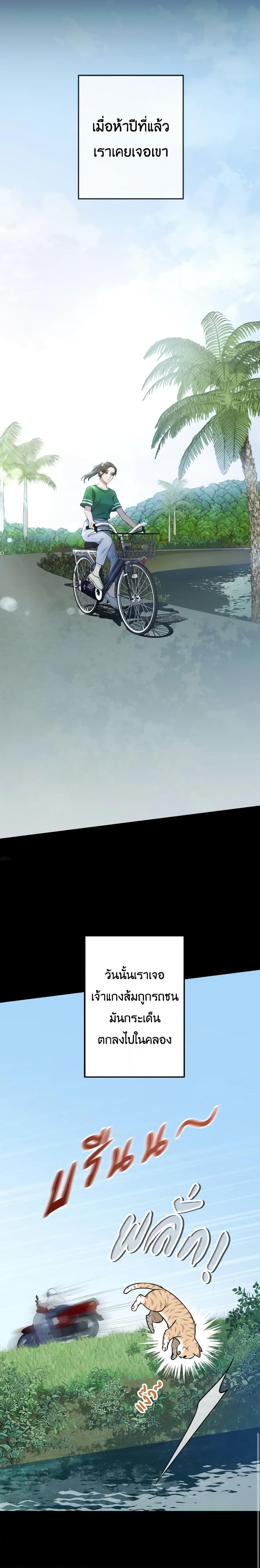 Manga-lc-com อ่านมังงะ อ่านการ์ตูน ออนไลน์ ฟรี Love Shadow ตอนที่ 1 2 3 4 5 6 7 8 9 10 11 12 13 14 ฟรี ไม่มีโฆษณา Manga-lc - อ่าน มังงะ อ่าน การ์ตูน ออนไลน์ อ่านมังงะ ฟรี